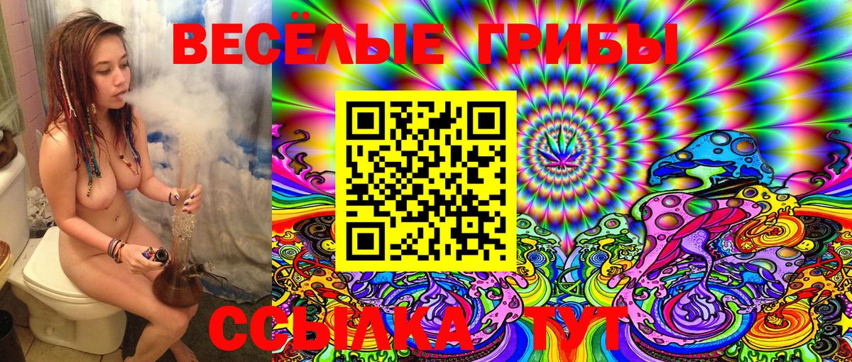 Комсомольск-на-Амуре  Псилоцибиновые грибы Magic Shrooms  даркнет сайт  Вход с VPN 